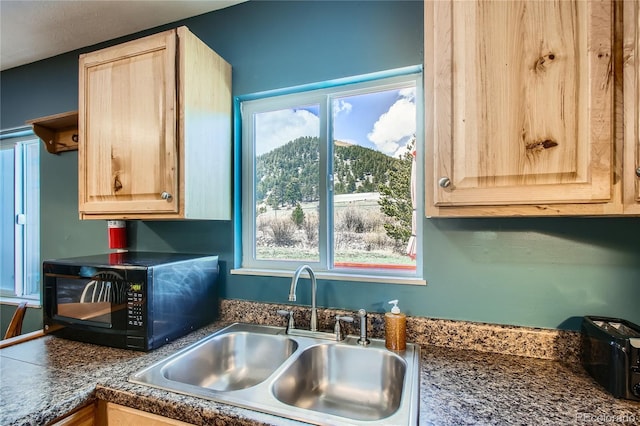 1350 Tolland Rd, Rollinsville, CO 80474 - kitchen featuring black microwave, light brown cabinetry, dark countertops, and a sink