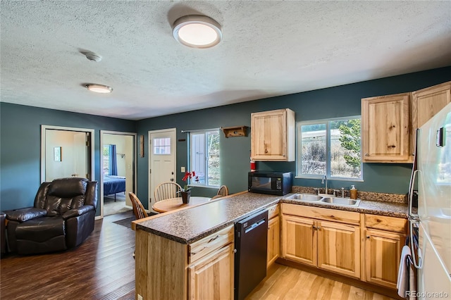 1350 Tolland Rd, Rollinsville, CO 80474 - kitchen featuring a sink, light wood-style floors, a textured ceiling, a peninsula, and black appliances