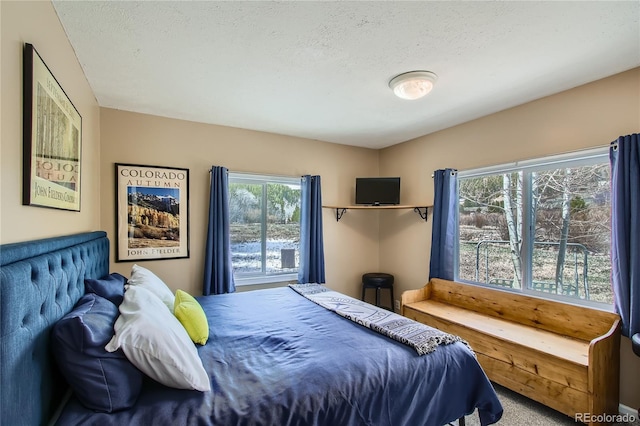 1350 Tolland Rd, Rollinsville, CO 80474 - carpeted bedroom with a textured ceiling