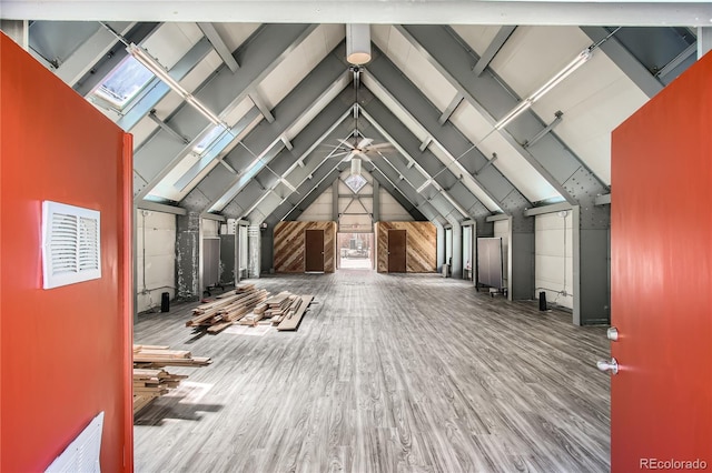 1350 Tolland Rd, Rollinsville, CO 80474 - view of unfinished attic