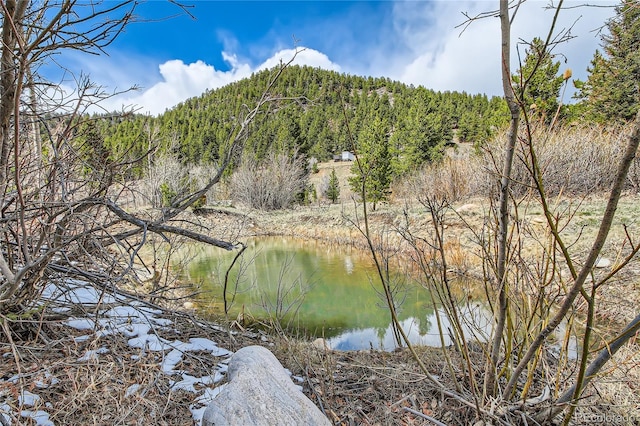 1350 Tolland Rd, Rollinsville, CO 80474 - view of water feature featuring a view of trees
