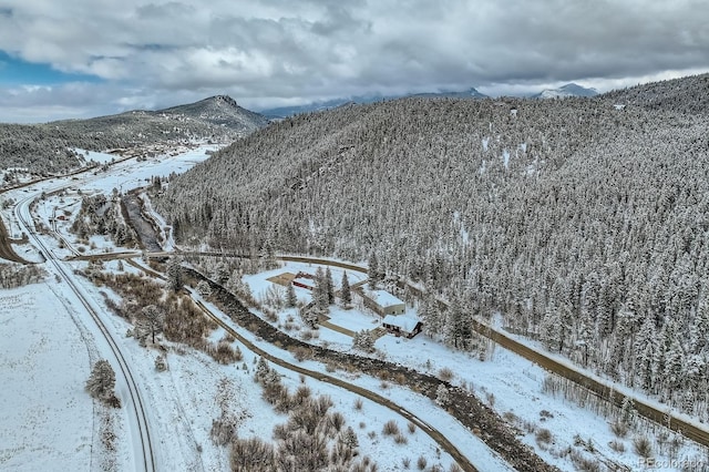 1350 Tolland Rd, Rollinsville, CO 80474 - property view of mountains