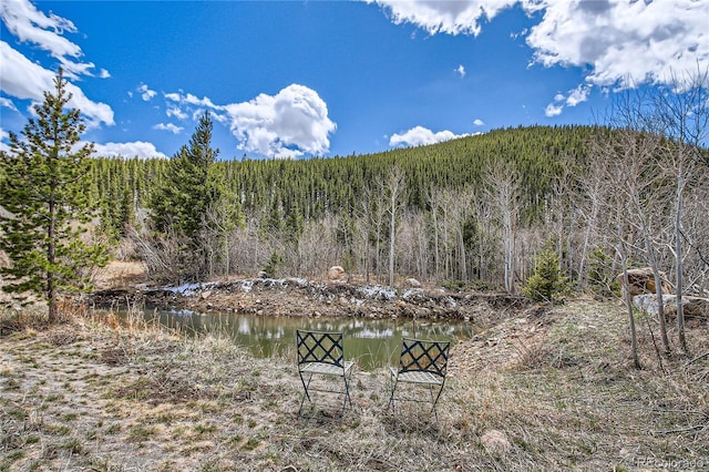 1350 Tolland Rd, Rollinsville, CO 80474 - property view of mountains featuring a forest view