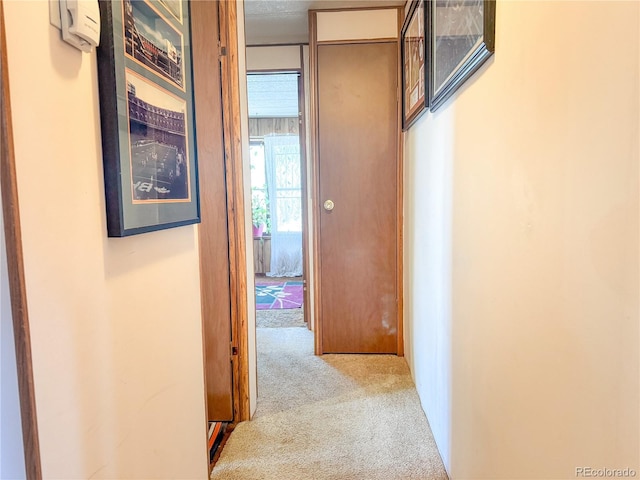 107 Rangeview Dr, Gypsum, CO 81637 - photo 11