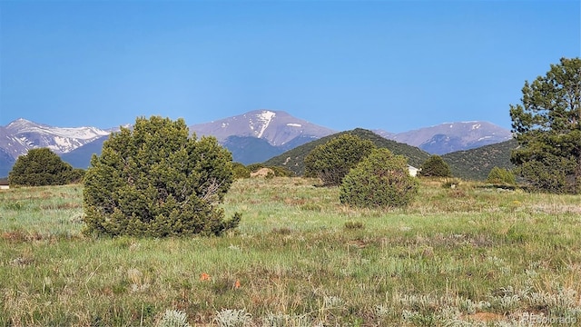 TBDL R Path, Cotopaxi, CO 81223