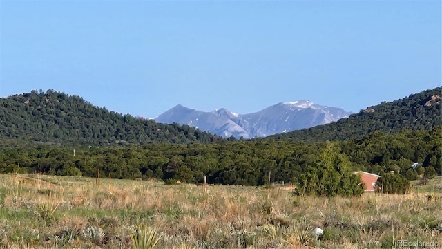TBDL R Path, Cotopaxi, CO 81223