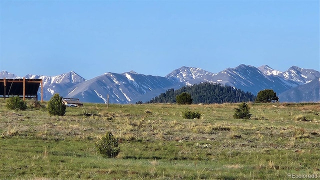 TBDL R Path, Cotopaxi, CO 81223