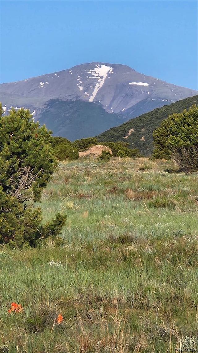 TBDL R Path, Cotopaxi, CO 81223