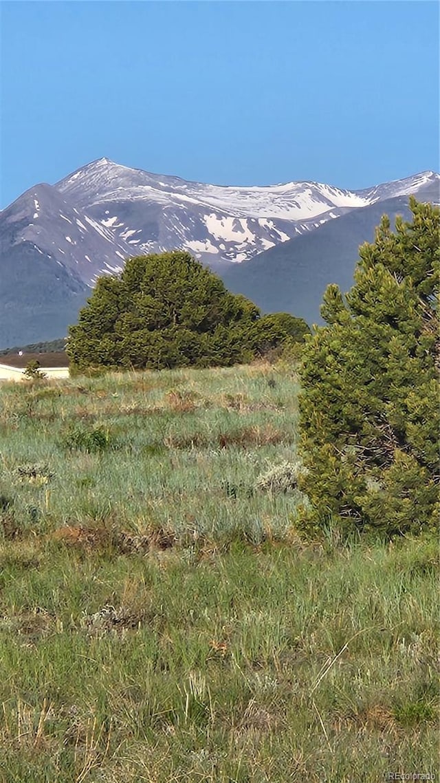 TBDL R Path, Cotopaxi, CO 81223