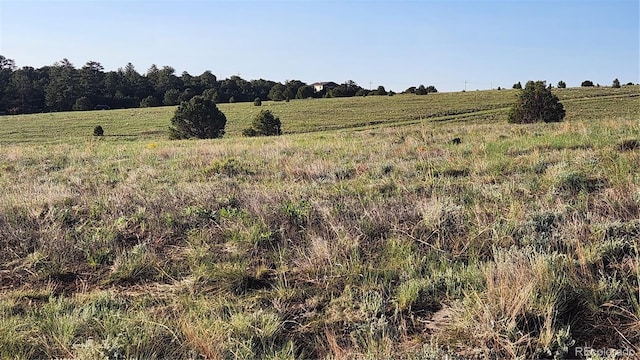 TBDL R Path, Cotopaxi, CO 81223