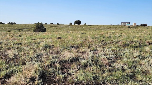 TBDL R Path, Cotopaxi, CO 81223