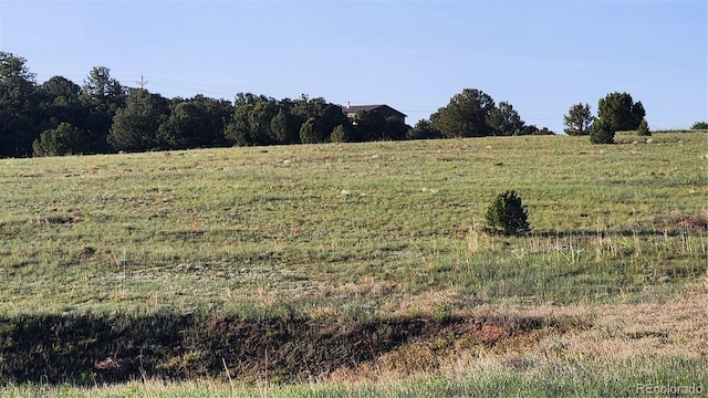 TBDL R Path, Cotopaxi, CO 81223
