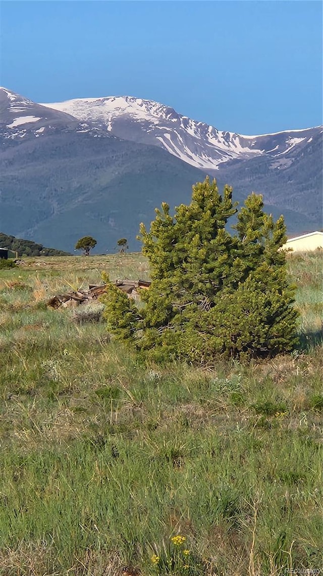 TBDL R Path, Cotopaxi, CO 81223