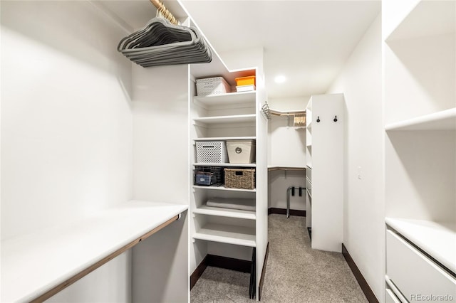 spacious closet with carpet floors