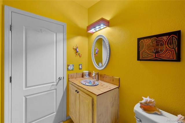 235 Blazing Saddle Trl, Cotopaxi, CO 81223 - half bath with vanity and toilet