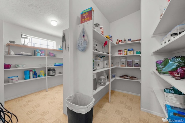 235 Blazing Saddle Trl, Cotopaxi, CO 81223 - view of pantry