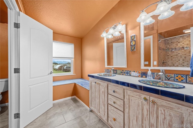 235 Blazing Saddle Trl, Cotopaxi, CO 81223 - bathroom featuring toilet, double vanity, tiled shower, a textured ceiling, and lofted ceiling