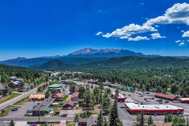 201 S Boundary St, Woodland Park, CO 80863 - view of mountain background featuring a heavily wooded area
