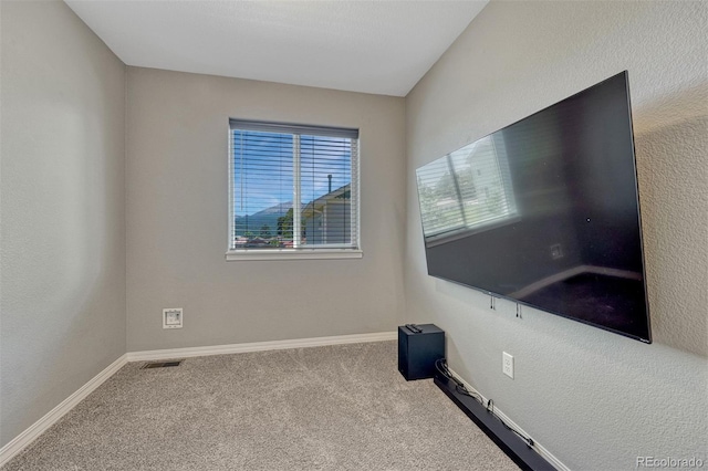 201 S Boundary St, Woodland Park, CO 80863 - photo 13