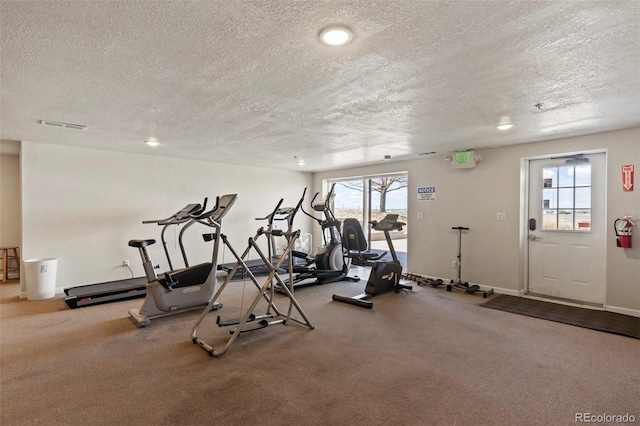 5425 County Road 32 Unit 14, Mead, CO 80504 - exercise room featuring a textured ceiling, plenty of natural light, and carpet flooring