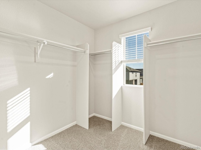 spacious closet with light colored carpet