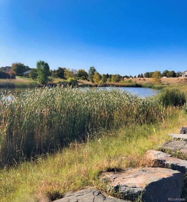 12778 Jasmine St Unit E, Thornton, CO 80602 - water view