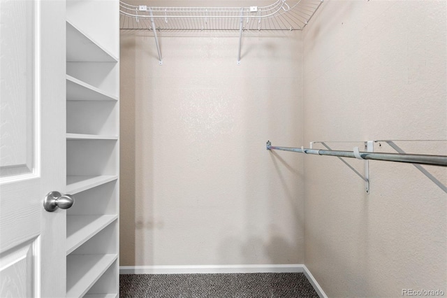 3775 Balderas St, Brighton, CO 80601 - view of spacious closet