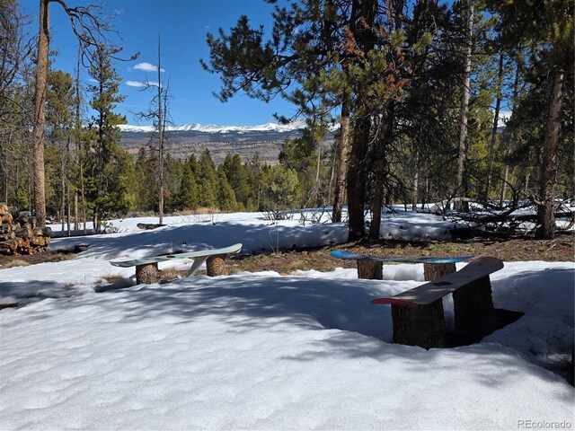 379 Lodgepole Dr, Twin Lakes, CO 81251