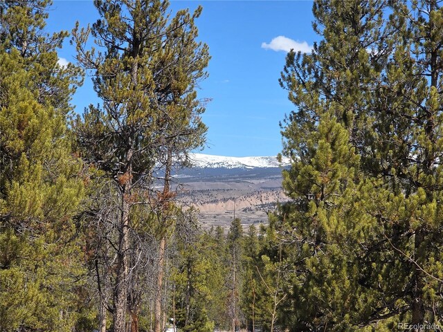379 Lodgepole Dr, Twin Lakes, CO 81251