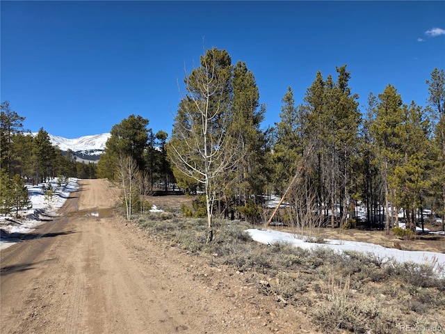 379 Lodgepole Dr, Twin Lakes, CO 81251