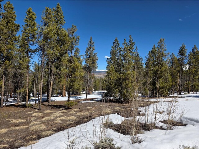 379 Lodgepole Dr, Twin Lakes, CO 81251