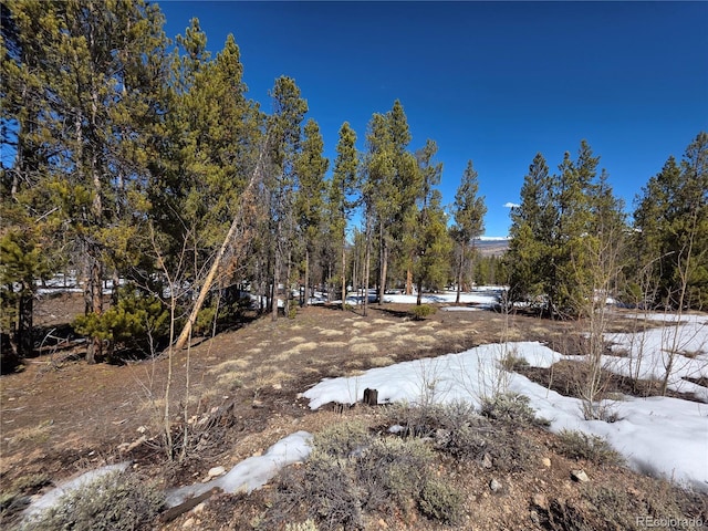 379 Lodgepole Dr, Twin Lakes, CO 81251
