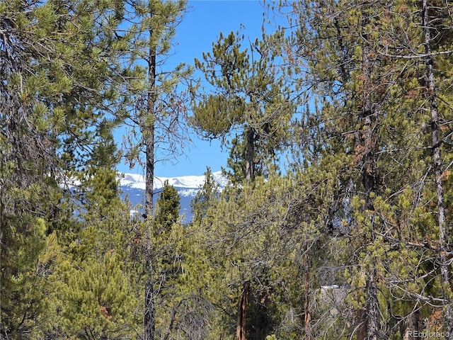 379 Lodgepole Dr, Twin Lakes, CO 81251