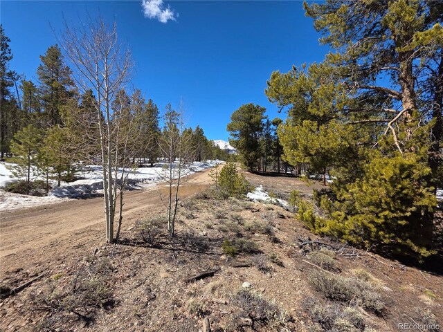 379 Lodgepole Dr, Twin Lakes, CO 81251