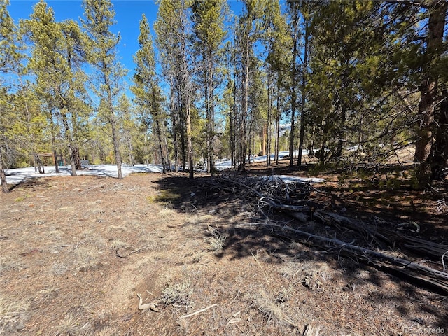 379 Lodgepole Dr, Twin Lakes, CO 81251