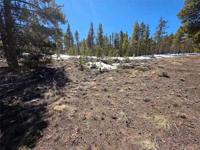 379 Lodgepole Dr, Twin Lakes, CO 81251