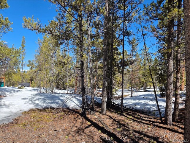 379 Lodgepole Dr, Twin Lakes, CO 81251