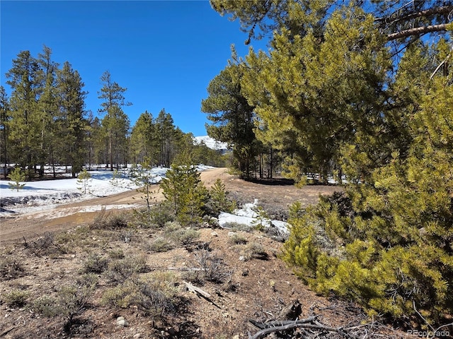 379 Lodgepole Dr, Twin Lakes, CO 81251