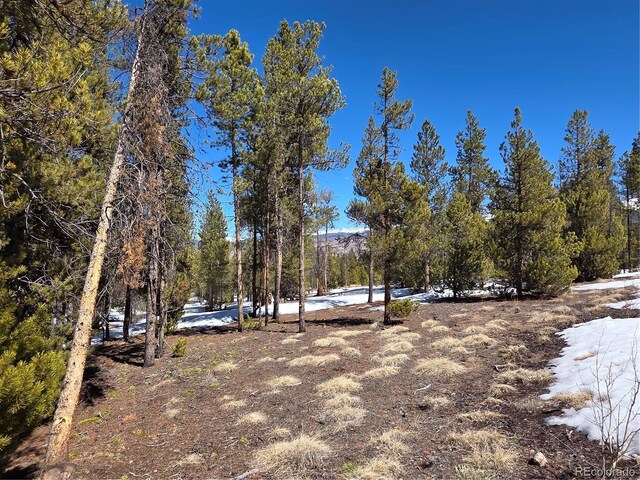379 Lodgepole Dr, Twin Lakes, CO 81251