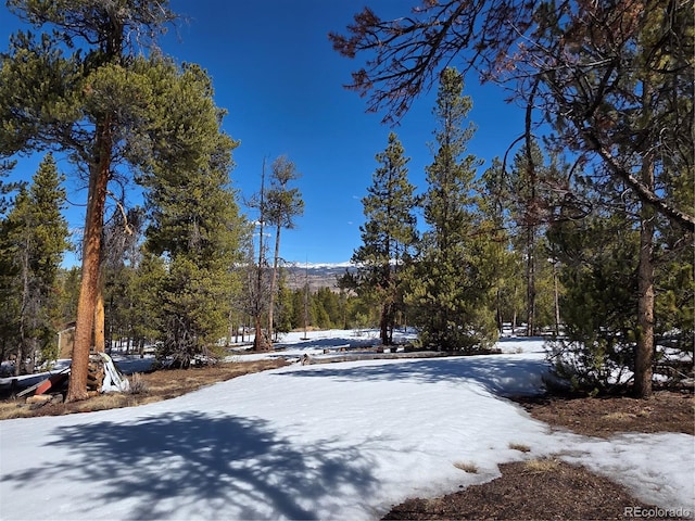 379 Lodgepole Dr, Twin Lakes, CO 81251