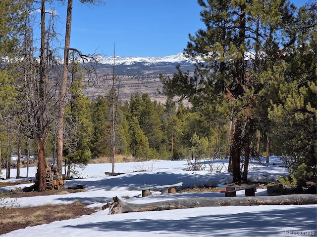 379 Lodgepole Dr, Twin Lakes, CO 81251