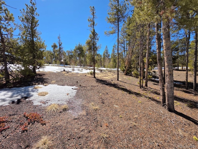 379 Lodgepole Dr, Twin Lakes, CO 81251