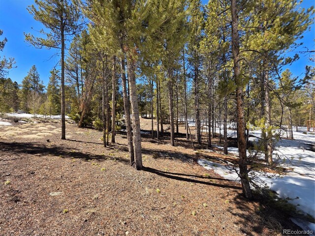 379 Lodgepole Dr, Twin Lakes, CO 81251