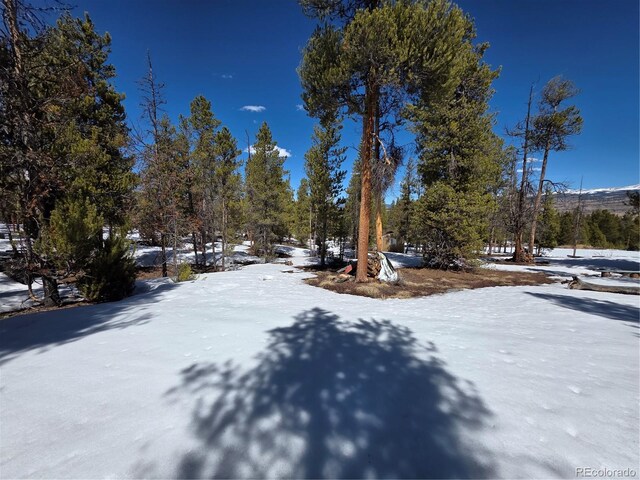 379 Lodgepole Dr, Twin Lakes, CO 81251