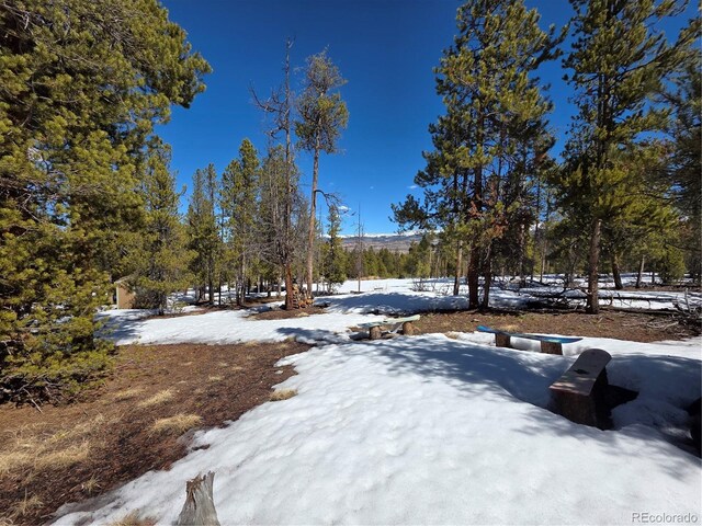 379 Lodgepole Dr, Twin Lakes, CO 81251