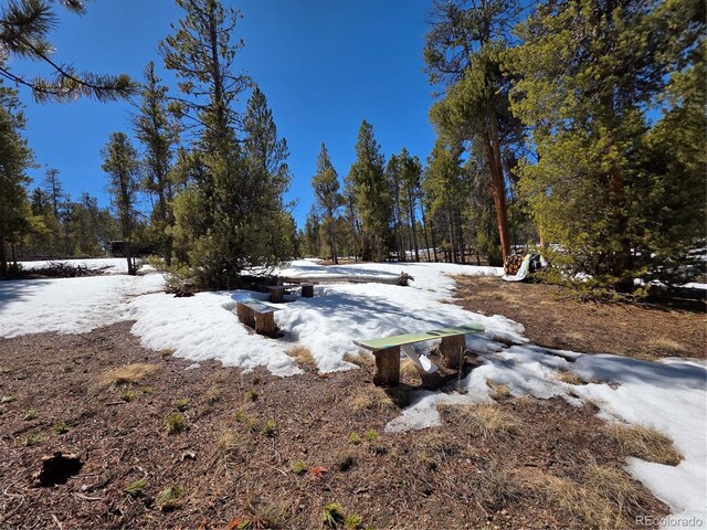 379 Lodgepole Dr, Twin Lakes, CO 81251