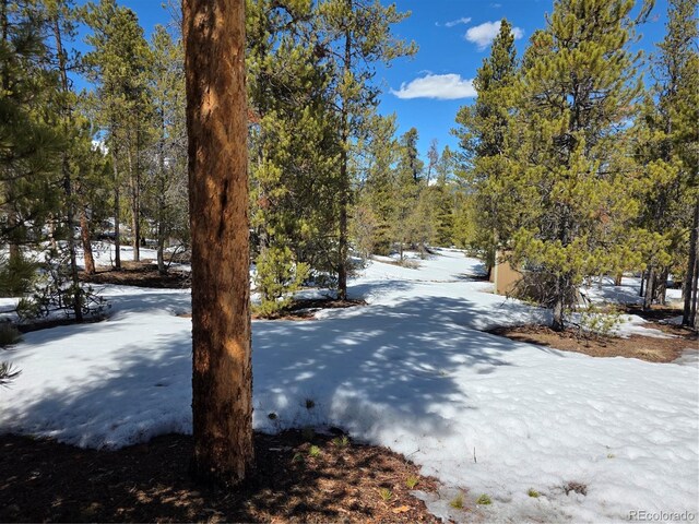 379 Lodgepole Dr, Twin Lakes, CO 81251