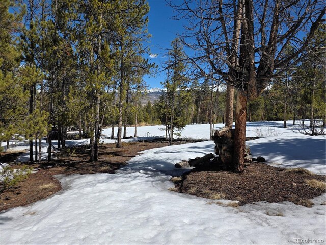 379 Lodgepole Dr, Twin Lakes, CO 81251