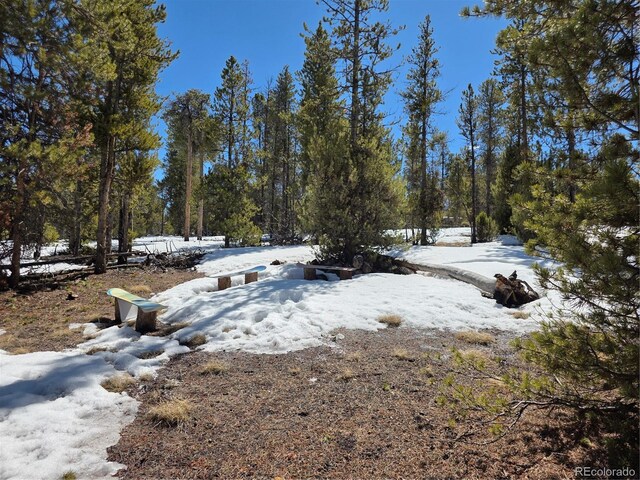 379 Lodgepole Dr, Twin Lakes, CO 81251