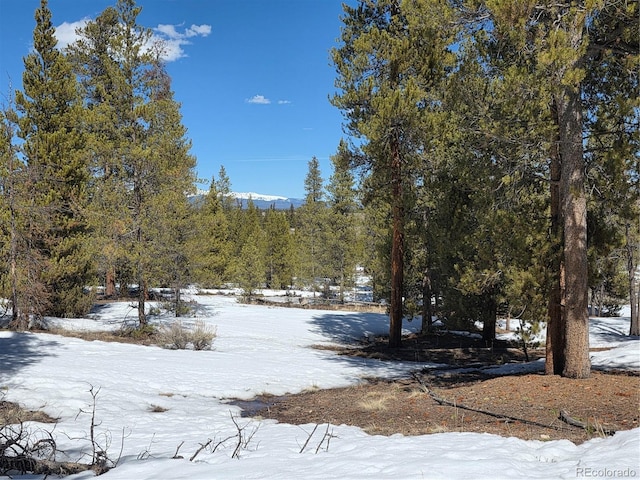 379 Lodgepole Dr, Twin Lakes, CO 81251